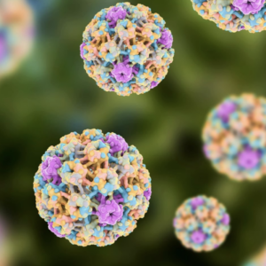 HPV virus